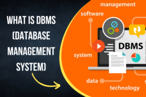 What is DBMS (Database Management System)